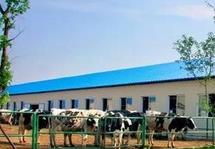 股价暴跌源于投资房地产失利？辽宁首富的双面人生