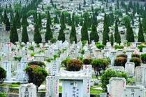 &ldquo;天价墓地&rdquo;何时休  须打破行业垄断