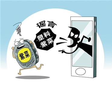 &ldquo;舌尖谣言&rdquo;屡辟屡传，如何织密免疫网？