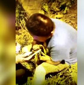 司机酒驾被查路边拔草吃 交警拦不住