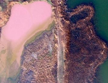 天津静海区渗坑污染由企业污水排放造成 将于７月底前根治