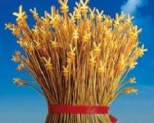 人社部：养老保险基金已有1370亿到账并开始投资