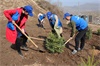 青海克大高速公路6标五&bull;四青年节植树造林