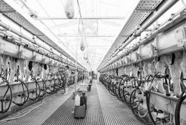 奶业协会会长：中国奶源已是世界级水平 但缺少信任