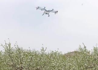 民航局要求加强无人机整治 建立军地联合监管机制