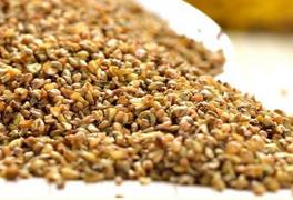 高温挤压&amp;低温老化新技术 破解苦荞粉味苦不耐煮加工难题