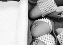 买一箱芒果25斤纸占9斤多 商家：赚的就是这些纸