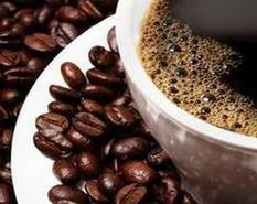 世界最贵&ldquo;象屎咖啡&rdquo;：一杯超400元 有独特果香