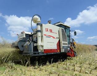 江苏海门：多措并举让秸秆&ldquo;变废为宝&rdquo;