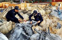 洋垃圾走私产业链背后:监管漏洞刑罚偏轻致屡禁不止