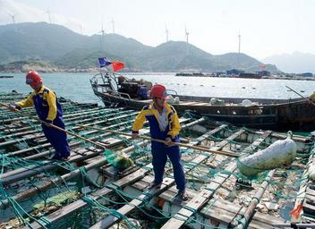 福建：清理海漂垃圾 守护蔚蓝海洋