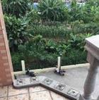 伴娘从4楼坠亡 官方通报：3人涉过失致人死亡被刑拘