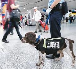 老外点赞中国社会治安：深夜敢出门 社会治理很中国