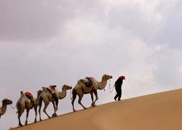 民政部：未批准任何带有&ldquo;一带一路&rdquo;字样社会组织