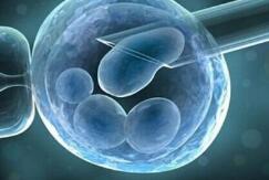 试管婴儿30年：能阻断遗传病 可冻卵冻胚胎