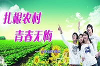 大学生村官在乡村振兴战略实施中创新创业实践的思考