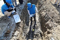 江苏一工业园被曝偷埋化工废料:挖出数吨刺鼻黑土