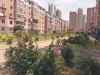 沈阳市苏家屯区&ldquo;三城联创&rdquo;让弃管小区变花园