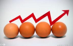 鸡蛋价格触底上涨 西红柿炒鸡蛋需少放一个蛋？