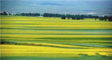 全国&ldquo;农地非农化&rdquo;乱象面临集中整治