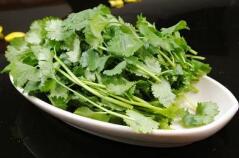 比牛肉还贵的香菜！你对它是爱还是恨？