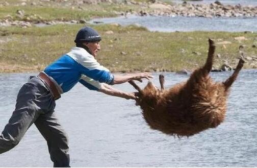 全国各省特色对照表看到东北那个笑岔气了