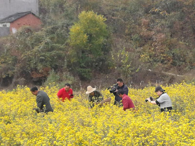 湖北大悟彭店乡多措并举发展特色产业 助推脱贫攻坚取得实效