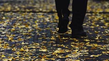 新疆黑龙江有大到暴雪南方气温触底反弹