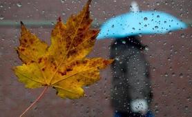 本周我国大部地区将直面雨雪风霜