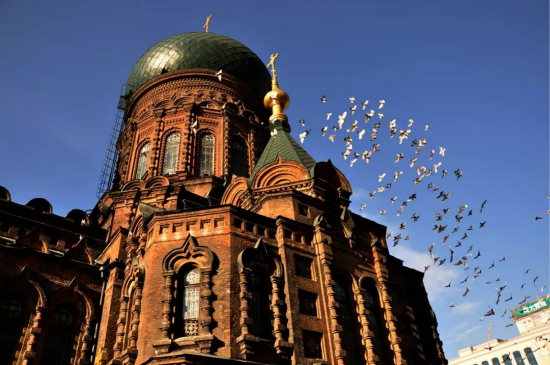 关键词七：到黑龙江寻医的俄罗斯人