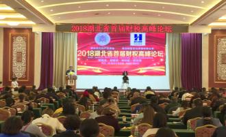 2018湖北省首届财税高峰论坛隆重举行