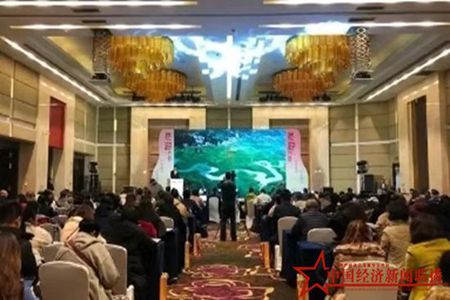 2018&ldquo;山水暖你 壮乡等你&mdash;&mdash;冬游广西&rdquo;推介会走进辽宁沈阳