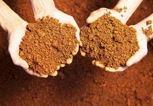 六部联合发土地经营权入股政策 保障农民保底收益