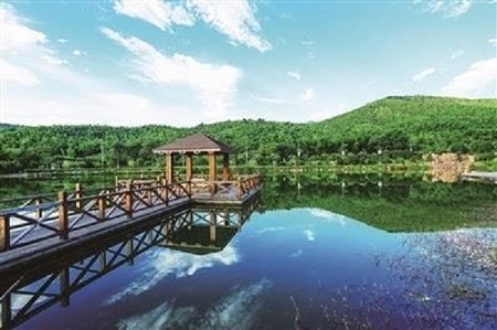 江苏省引导社会资本参与乡村振兴