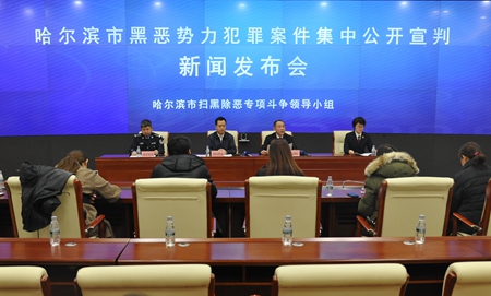 哈尔滨市第五批黑恶犯罪案件集中宣判情况通报