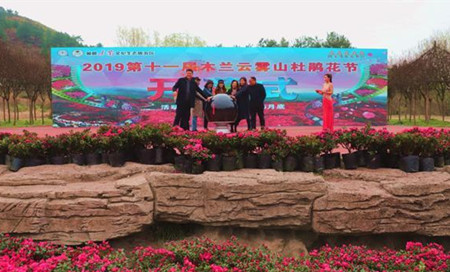 木兰云雾山景区第十一届杜鹃花节盛大开幕