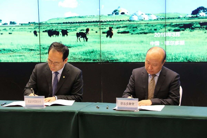 聚焦发力乡村振兴 助力革命老区红色小镇基础设施建设