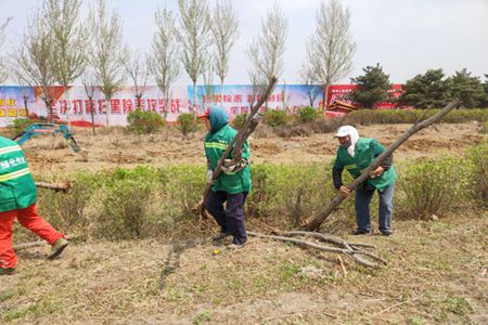 沈阳市苏家屯区绿化管理处打造城市宜居品牌环境