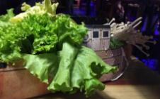 商务部：多种蔬菜水产品价格出现回落