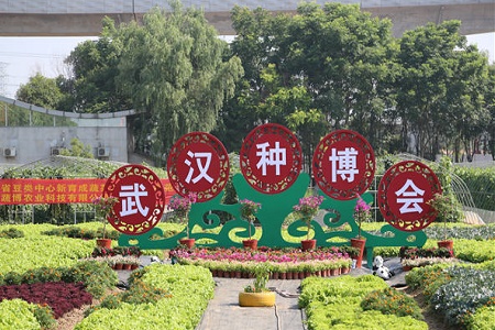 2019武汉种博会创观展人数之最，项目合作总额达3.2亿元