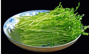 今年蔬菜价格走势如何？