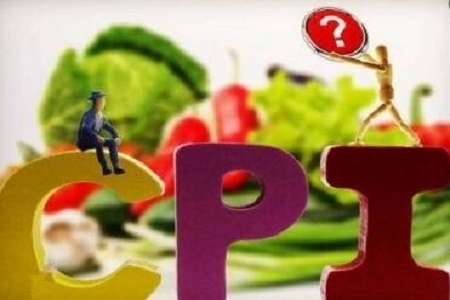 6月份全国居民消费 价格同比上涨2.7%