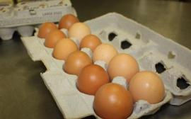 1筐鸡蛋半个月涨20元！蛋价不淡定了 蛋糕甜点都跟涨