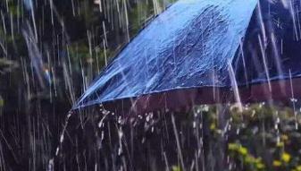 暴雨蓝色预警发布：京津冀等地局地将有大到暴雨