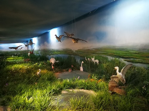 双鸭山举办生态自驾游体验活动