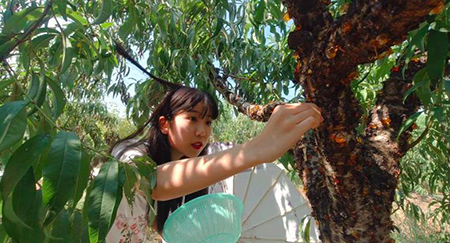 直播+农业精准扶贫    武汉传媒学院青春学子在行动