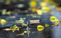 冷空气贯穿南北局地降温超10℃ 华西秋雨将&ldquo;下线&rdquo;