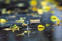 冷空气再发威！全国多地将迎&ldquo;降温＋降雨&rdquo;套餐