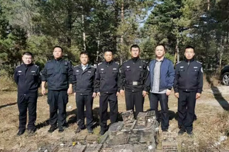 哈尔滨举行打击非法猎捕野生鸟类专项行动
