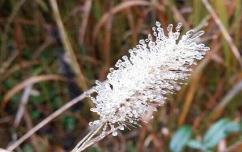 大BOSS来袭 强冷空气&ldquo;包邮&rdquo;发往全国大部地区